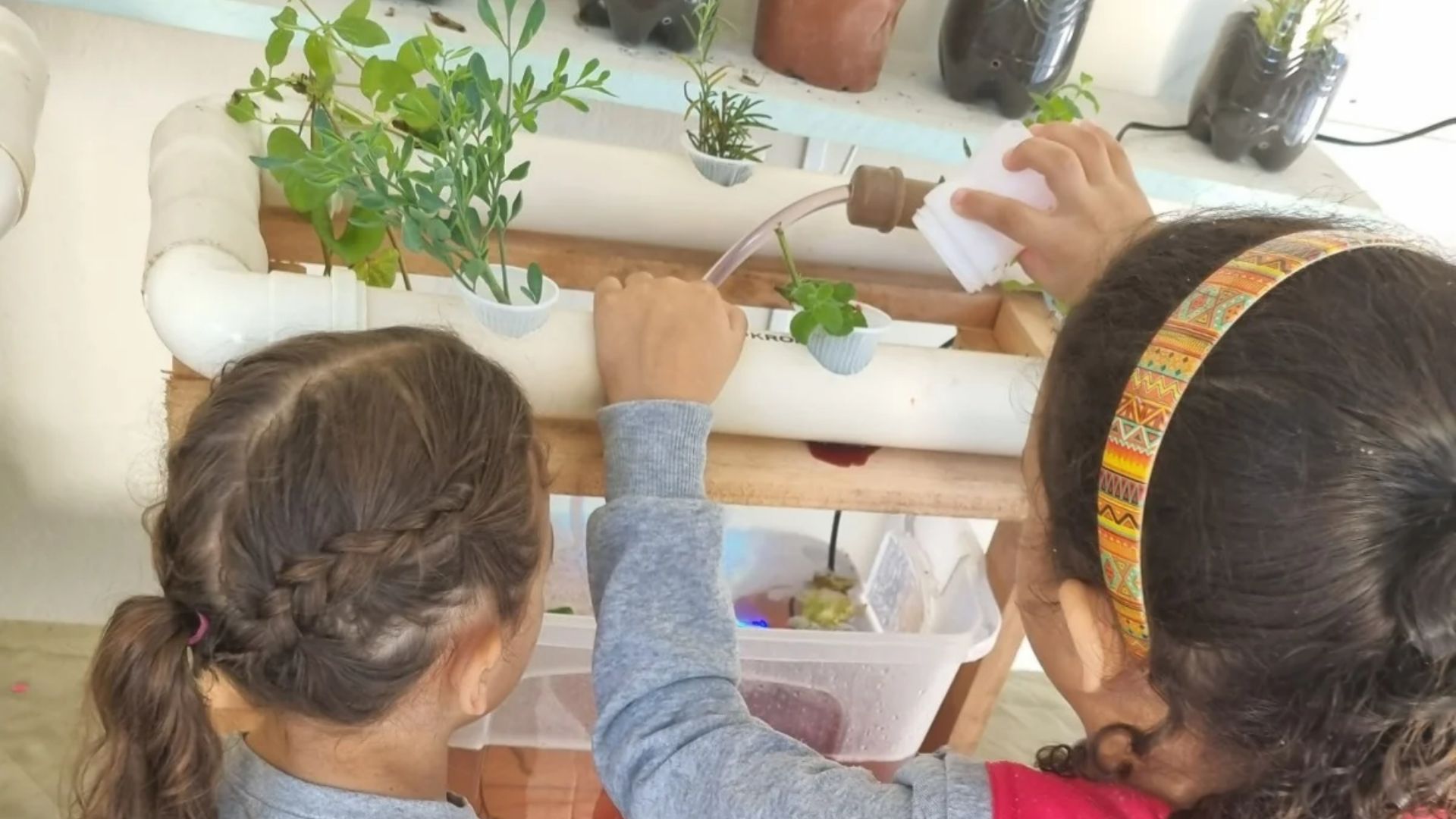 Jardim sustentável aproxima crianças da natureza em escola de Blumenau