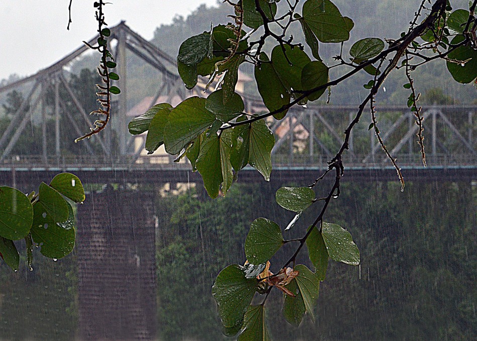 Chuva deve ganhar força nos próximos dias em Blumenau