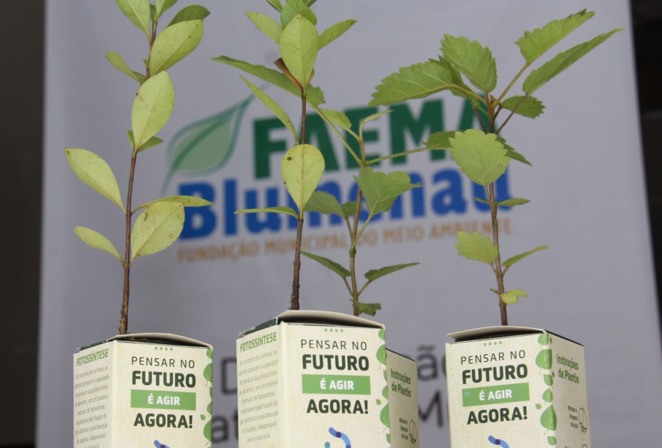Faema faz distribuição de mudas nativas nesta quinta-feira